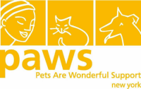 Pets are wonderful support (paws ny)