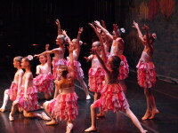 Petaluma school of ballet