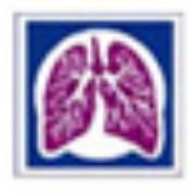 Pulmonary physicians of south florida