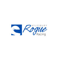 Rogue racing