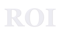 Roi financial group