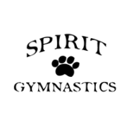 Spirit gymnastics training ctr