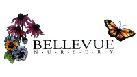 Bellevue nursery