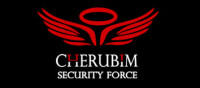 Cherubim Security Force LLP