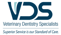 Veterinary dentistry specialists