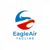 Air eagle llc