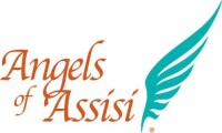 Angels of assisi