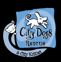 City dogs rescue