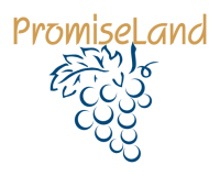Critical support services and solutions previously the promised land enterprise
