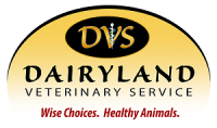 Dairyland veterinary service