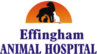 Effingham animal hospital