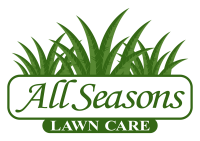 Falling leaves lawn care