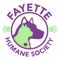 Fayette county animal rescue