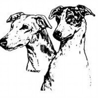 Greyhound pets inc