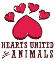 Hearts united for animals