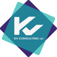 K.v. consulting
