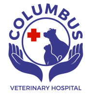 Columbus animal hospital