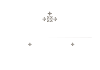 Magnum wines
