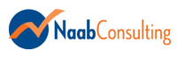 Naab consulting