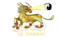 Qi dragon healing center
