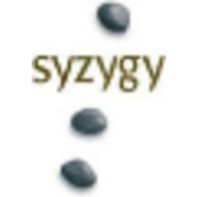 Syzygy solutions inc