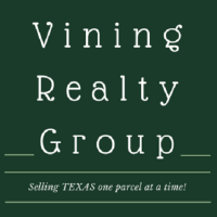 Vining realty group/ insurance