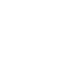 The wagner agency