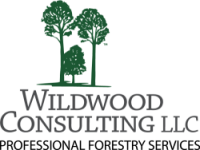 Wildwood consulting