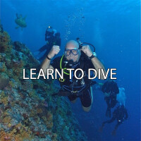 A-1 scuba diving & snorkeling adventures