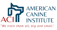 American canine institute