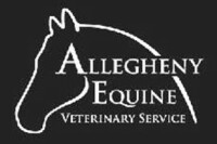 Allegheny veterinary hospital