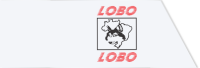Trasnportadora Lobo & Lobo Ltda.