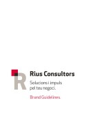 Rius Consultors