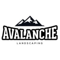 Avalanche landscape