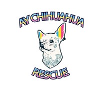 Ay chihuahua rescue