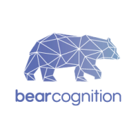 Bear cognition