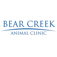 Bear creek veterinary hospital