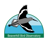 Beaverhill Bird Observatory