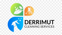 Best cleaning experts