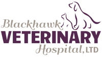 Blackhawk veterinary hospital
