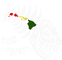 Blue planet surf gear