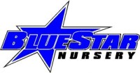 Blue star nursery