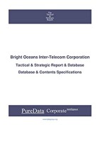 Bright oceans inter-telecom corporation