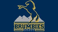 Brumbies rugby