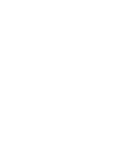 Buddah brown international
