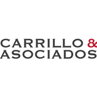 Carrillo & asociados consulting