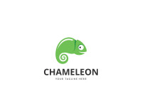 Chameleon corporation
