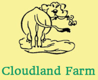 Cloudland farm