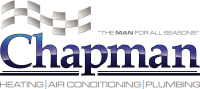 Chapman net systems inc
