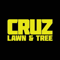 Cruz lawn and tree